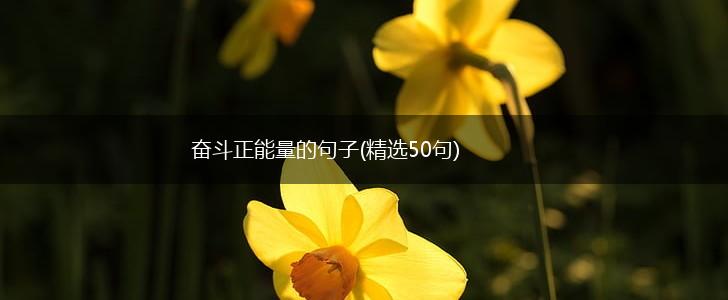 奋斗正能量的句子(精选50句),第1张