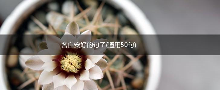 各自安好的句子(通用50句),第1张