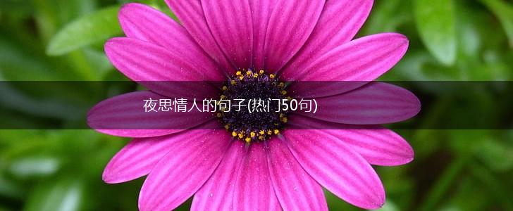 夜思情人的句子(热门50句),第1张