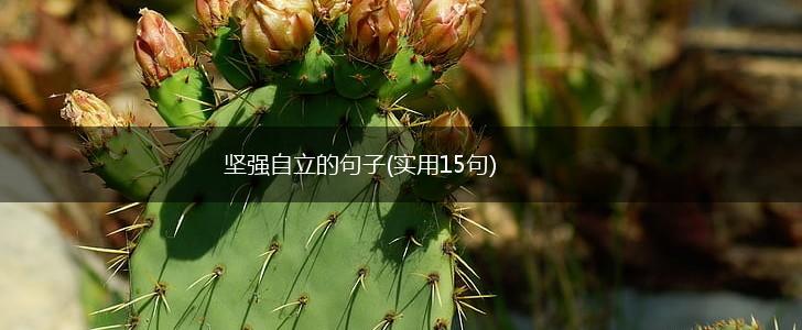 坚强自立的句子(实用15句),第1张