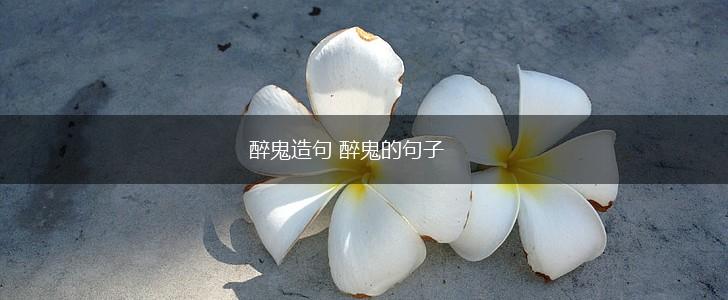 醉鬼造句 醉鬼的句子,第1张