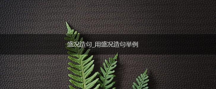 盛况造句_用盛况造句举例,第1张