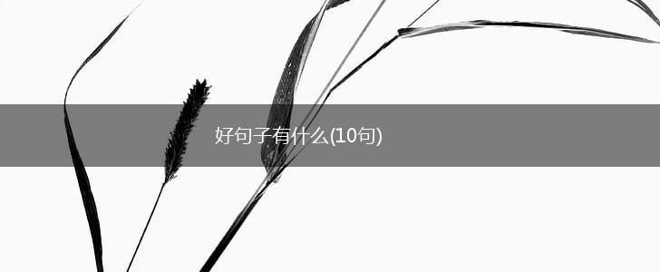 好句子有什么(10句),第1张