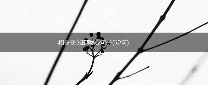 和哥哥说的暖心句子(50句),第1张