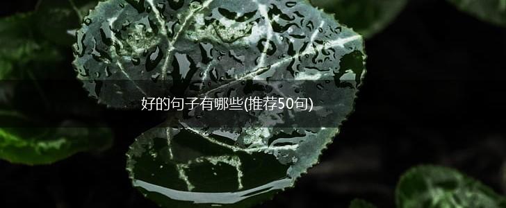 好的句子有哪些(推荐50句),第1张