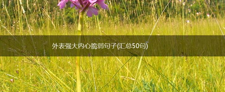 外表强大内心脆弱句子(汇总50句),第1张