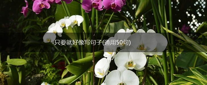 只要就好像写句子(通用50句),第1张