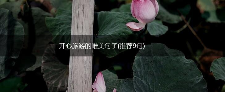 开心旅游的唯美句子(推荐9句),第1张