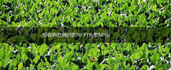 形容两性缠绵的句子(合集50句),第1张