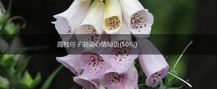孤独句子说说心情短语(50句),第1张