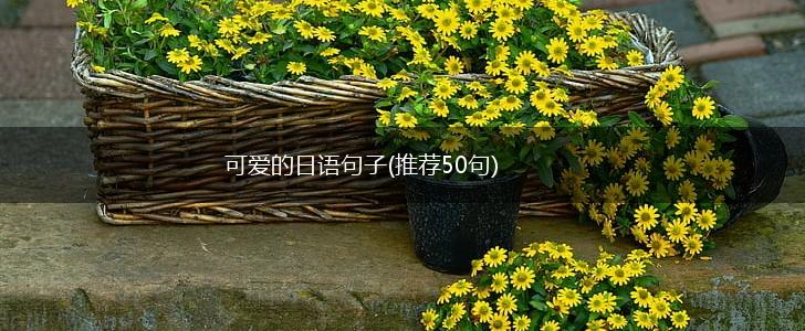 可爱的日语句子(推荐50句),第1张