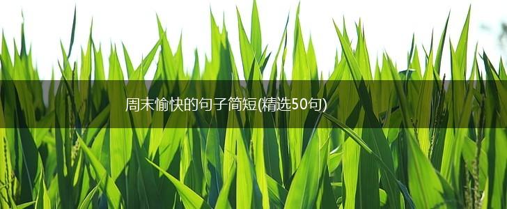 周末愉快的句子简短(精选50句),第1张