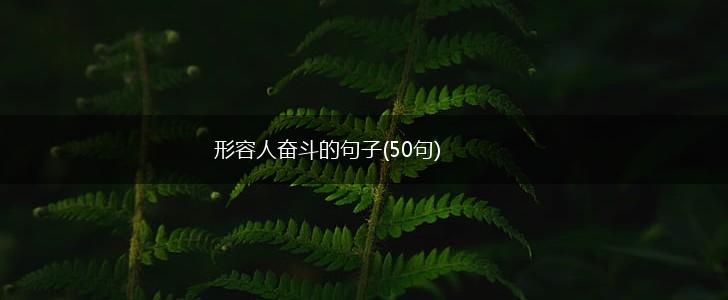 形容人奋斗的句子(50句),第1张