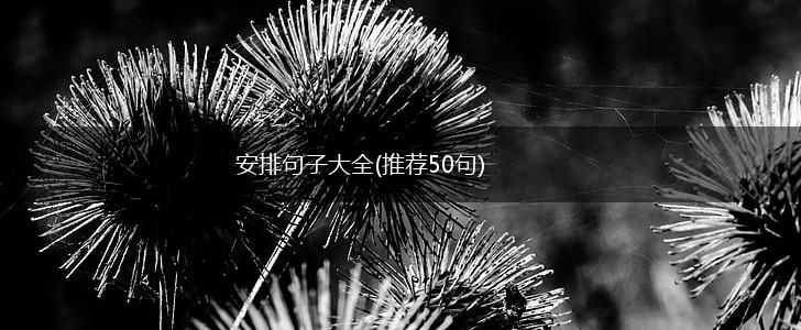 安排句子大全(推荐50句),第1张