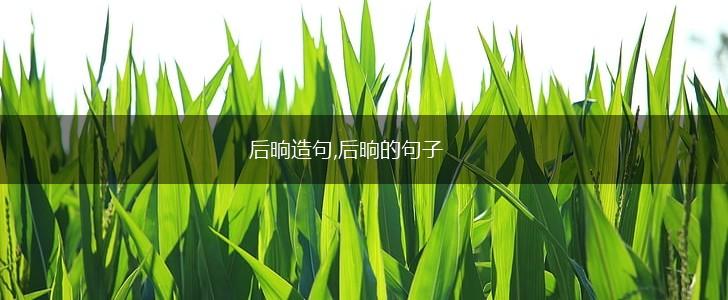 后晌造句,后晌的句子,第1张 后晌造句,后晌的句子,第1张
