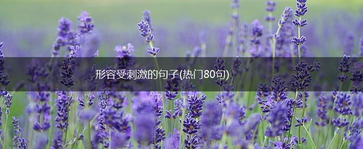 形容受刺激的句子(热门80句),第1张