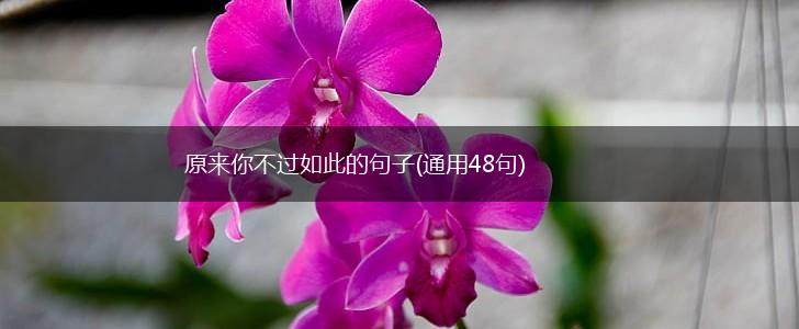 原来你不过如此的句子(通用48句),第1张