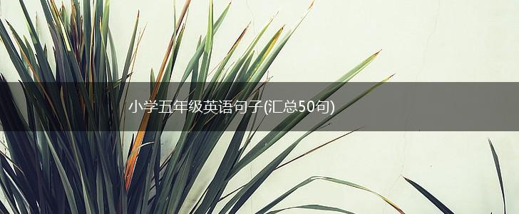 小学五年级英语句子(汇总50句),第1张