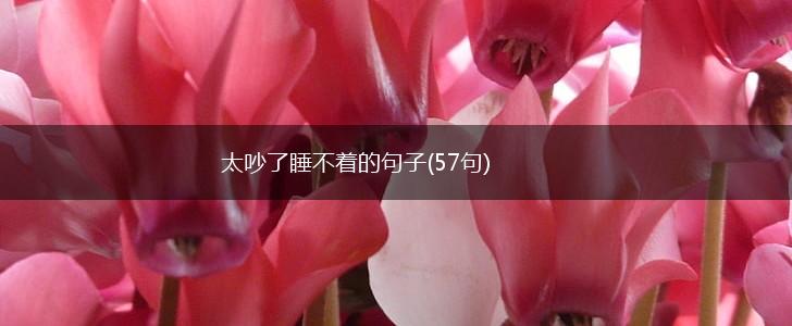 太吵了睡不着的句子(57句),第1张
