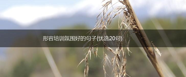 形容培训氛围好的句子(优选20句),第1张