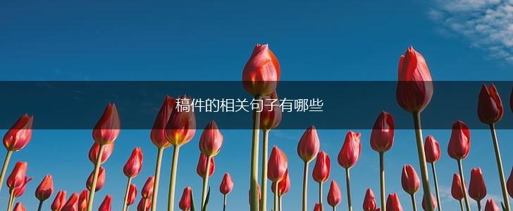稿件的相关句子有哪些,第1张 稿件的相关句子有哪些,第1张