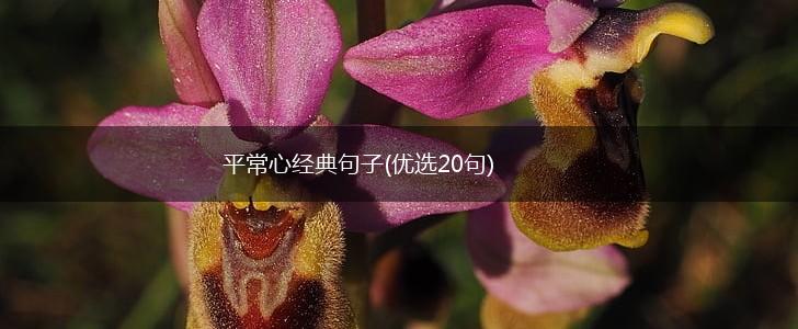 平常心经典句子(优选20句),第1张