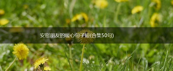 安慰朋友的暖心句子短(合集50句),第1张