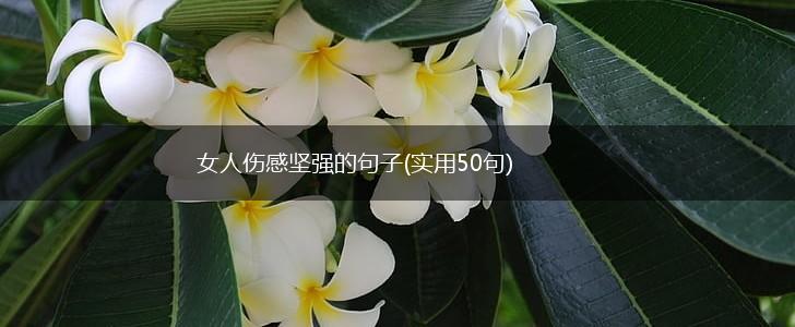女人伤感坚强的句子(实用50句),第1张