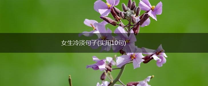 女生冷淡句子(实用10句),第1张