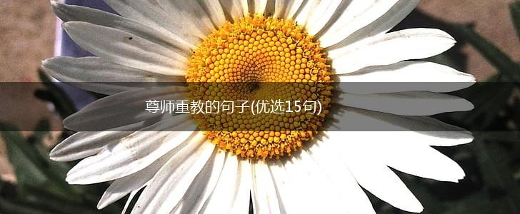 尊师重教的句子(优选15句),第1张