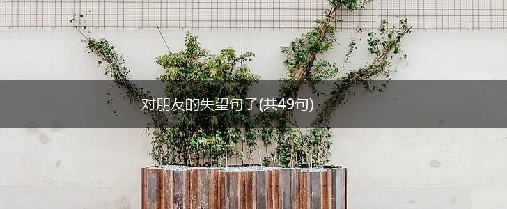 对朋友的失望句子(共49句),第1张