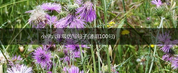 小学六年级仿写句子(通用100句),第1张