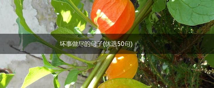 坏事做尽的句子(优选50句),第1张