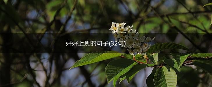 好好上班的句子(32句),第1张