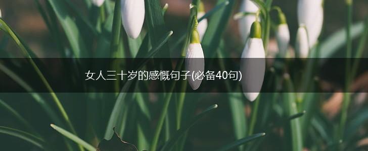 女人三十岁的感慨句子(必备40句),第1张