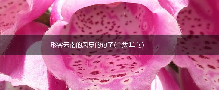 形容云南的风景的句子(合集11句),第1张