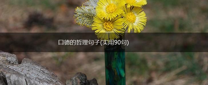 口德的哲理句子(实用90句),第1张