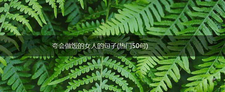 夸会做饭的女人的句子(热门50句),第1张