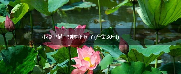 小说里描写别墅的句子(合集30句),第1张
