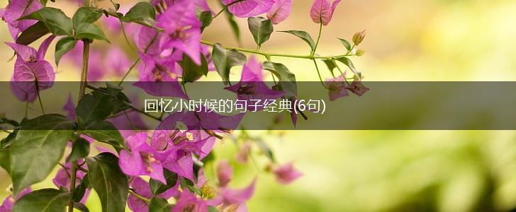 回忆小时候的句子经典(6句),第1张