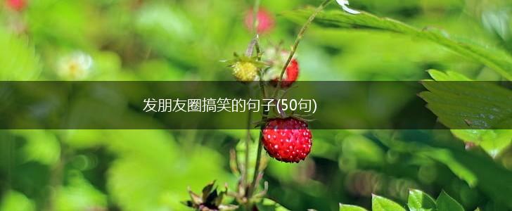 发朋友圈搞笑的句子(50句),第1张