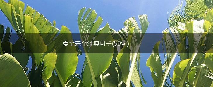 夏至未至经典句子(50句),第1张