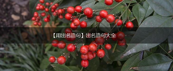 【用出名造句】出名造句大全,第1张