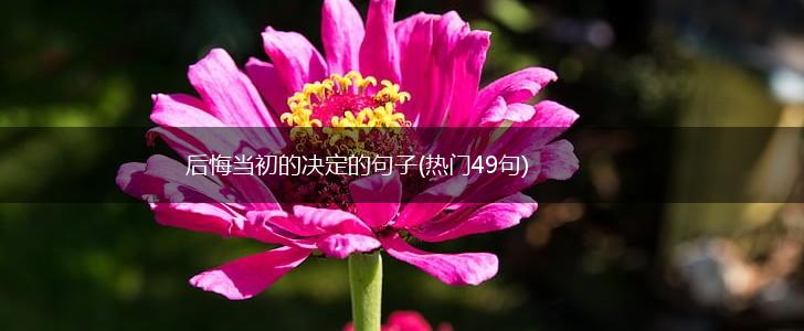 后悔当初的决定的句子(热门49句),第1张