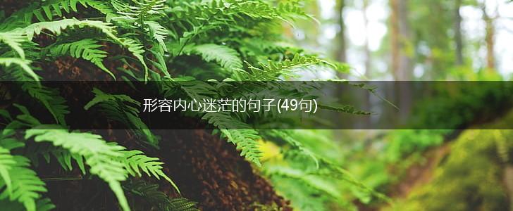 形容内心迷茫的句子(49句),第1张