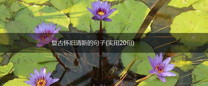 复古怀旧清新的句子(实用20句),第1张