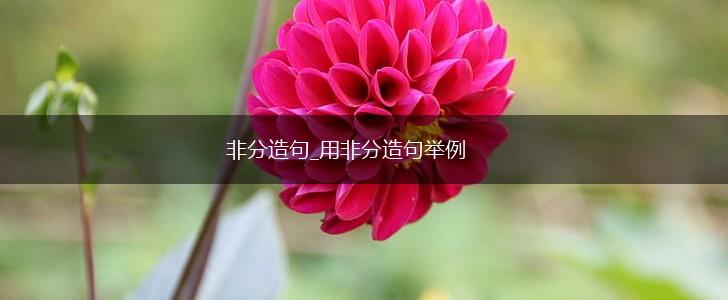 非分造句_用非分造句举例,第1张 非分造句_用非分造句举例,第1张