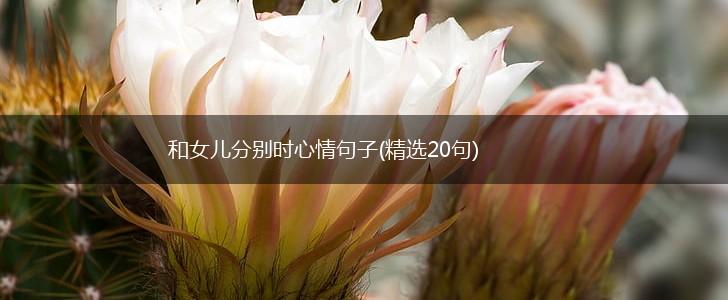 和女儿分别时心情句子(精选20句),第1张