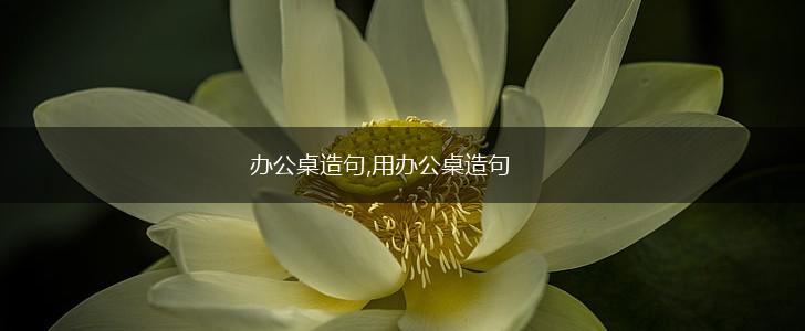 办公桌造句,用办公桌造句,第1张