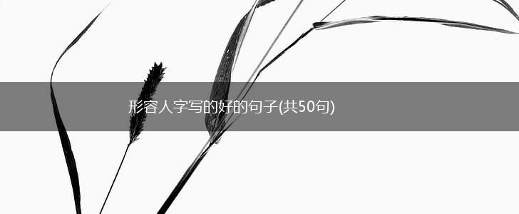 形容人字写的好的句子(共50句),第1张